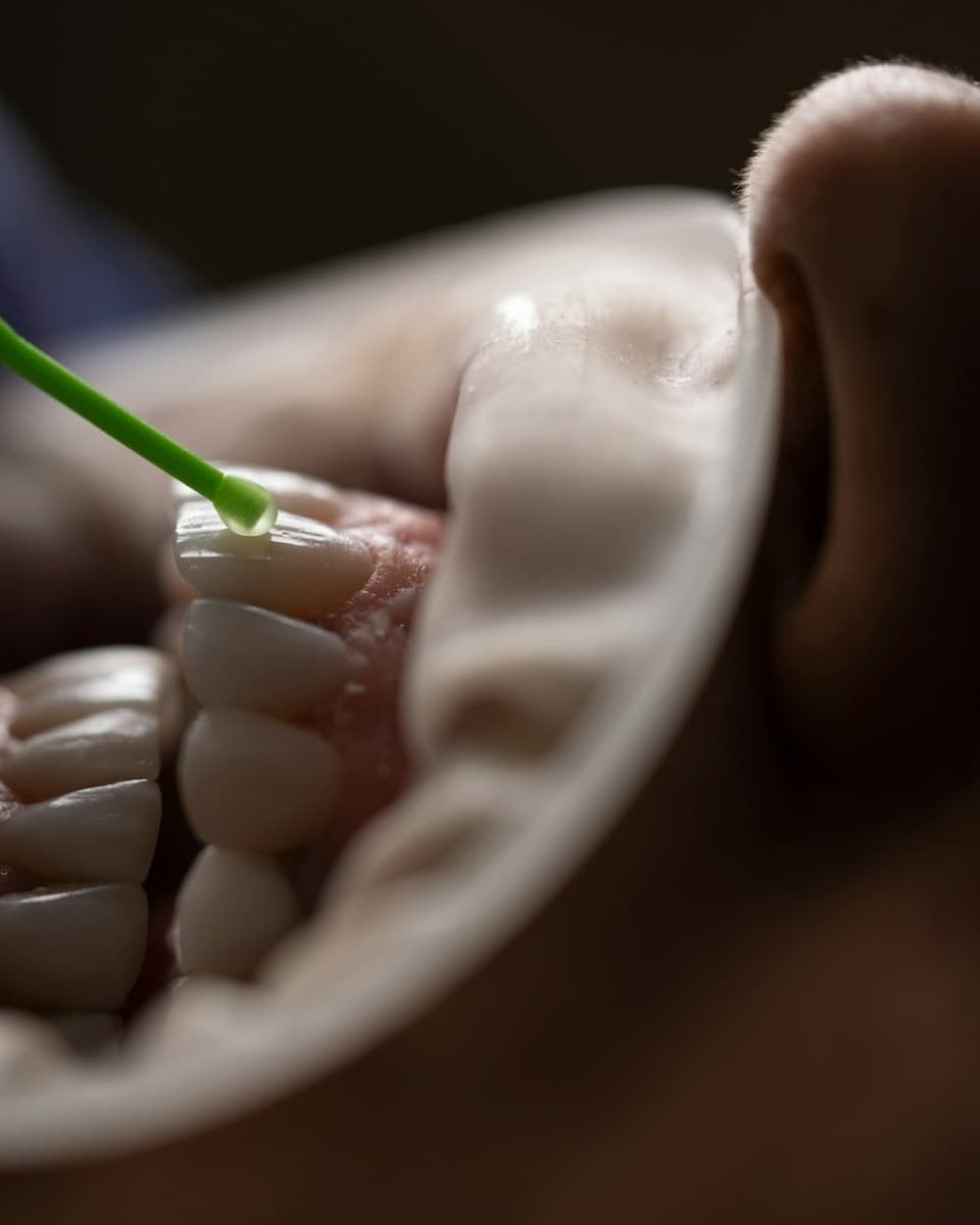 It Has Been Years treatments at Johns Creek Family Dentistry